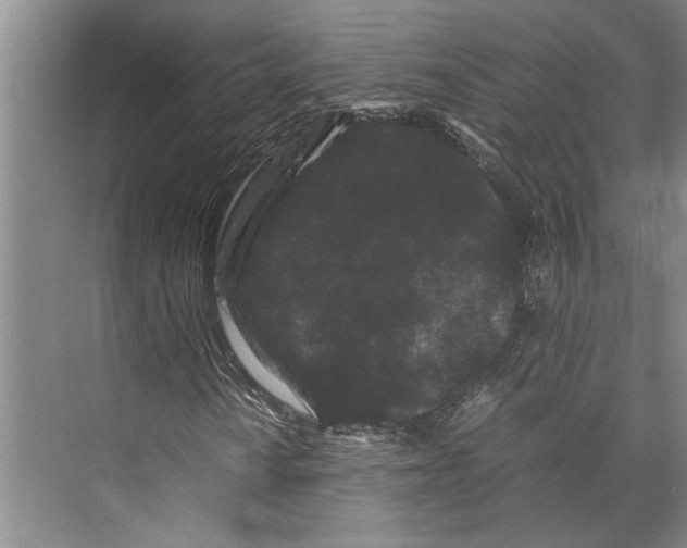 X0000071921010200608041429