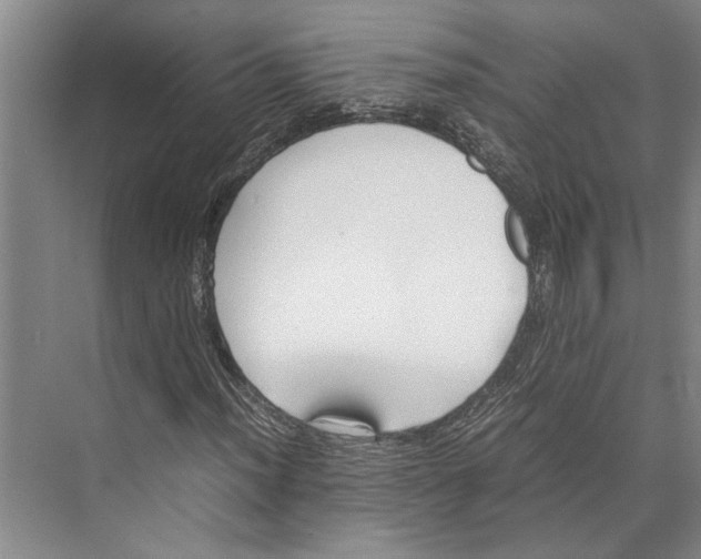 X0000071921012200608041429
