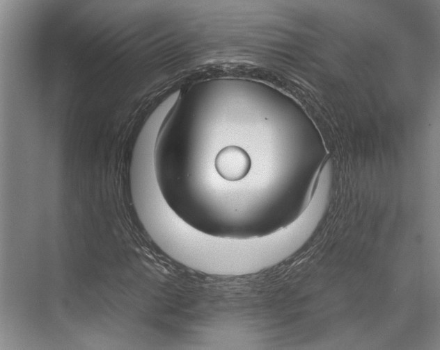 X0000071921014200608041429