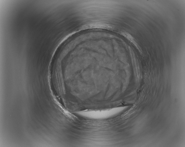 X0000071921024200608041429