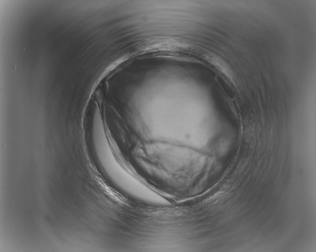 X0000071921026200608041429