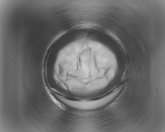 X0000071921042200608041430