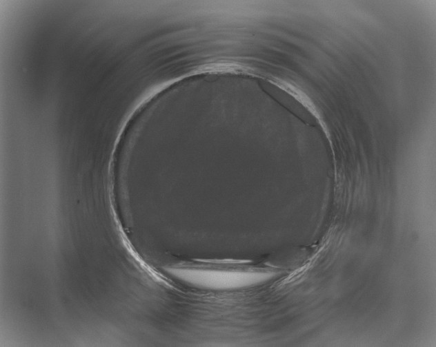 X0000071921045200608041430