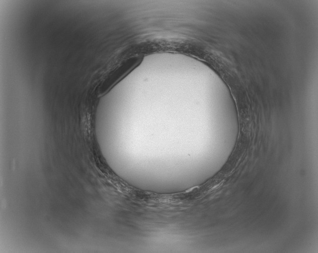 X0000071921061200608041429