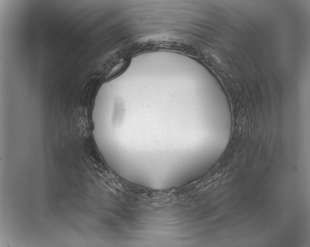 X0000071921062200608041429