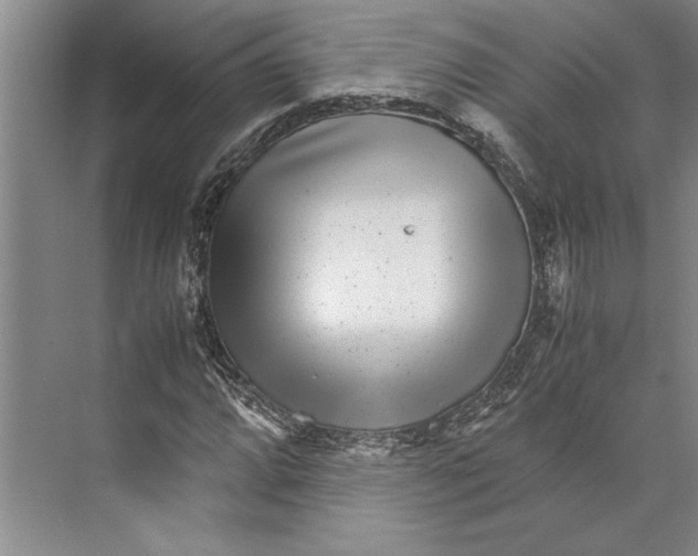 X0000071921064200608041429