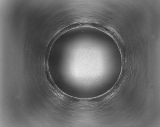 X0000071921065200608041429
