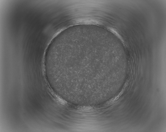 X0000071921071200608041429