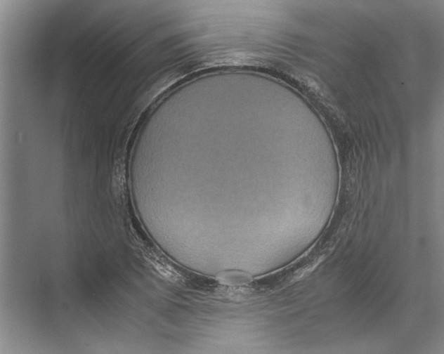 X0000071921073200608041429