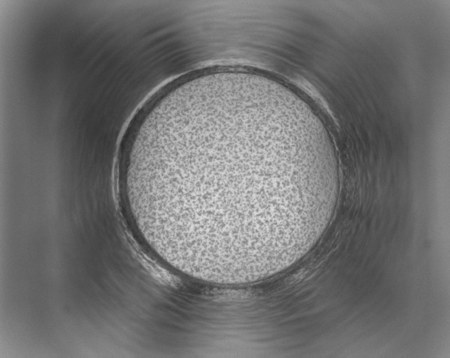 X0000071921076200608041429