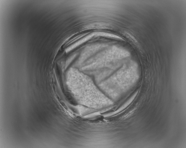 X0000071921081200608041429