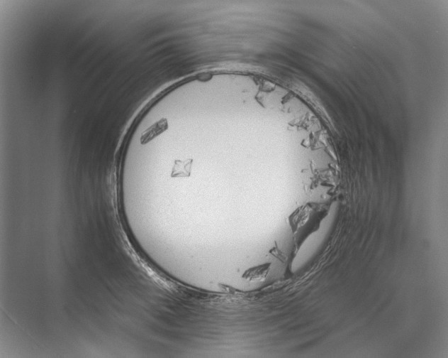 X0000071921092200608041428