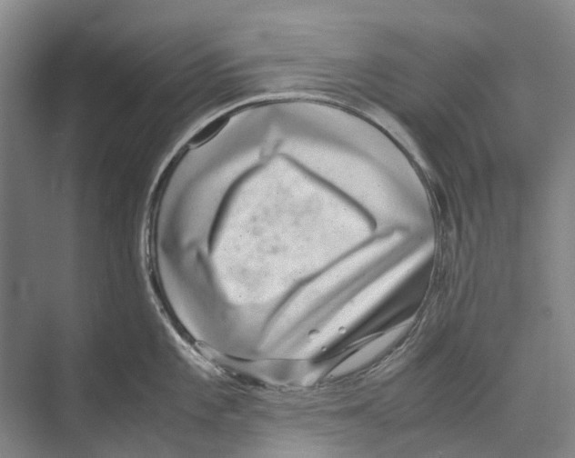 X0000071921101200608041428