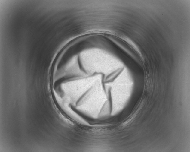 X0000071921102200608041428