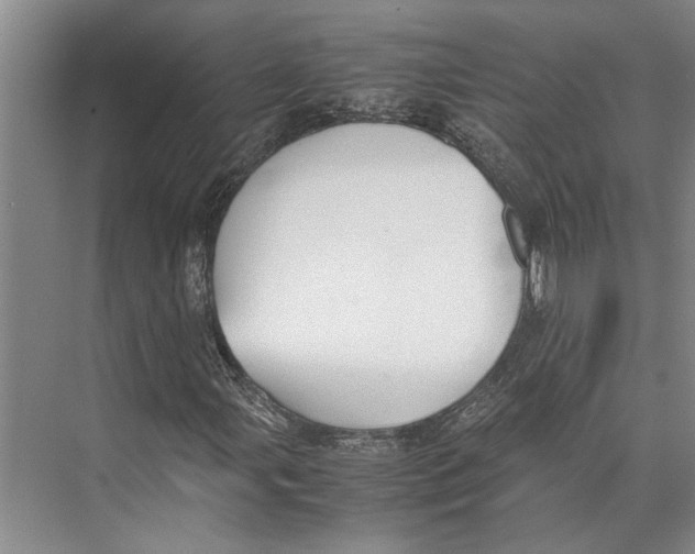 X0000071921107200608041427
