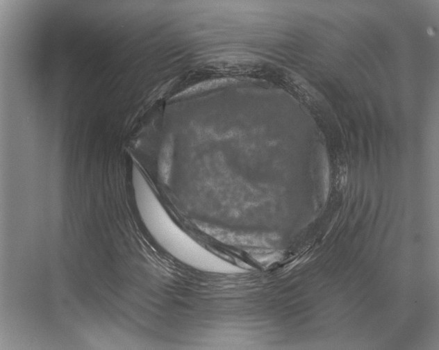 X0000071921108200608041427