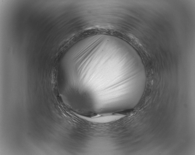 X0000071921110200608041427