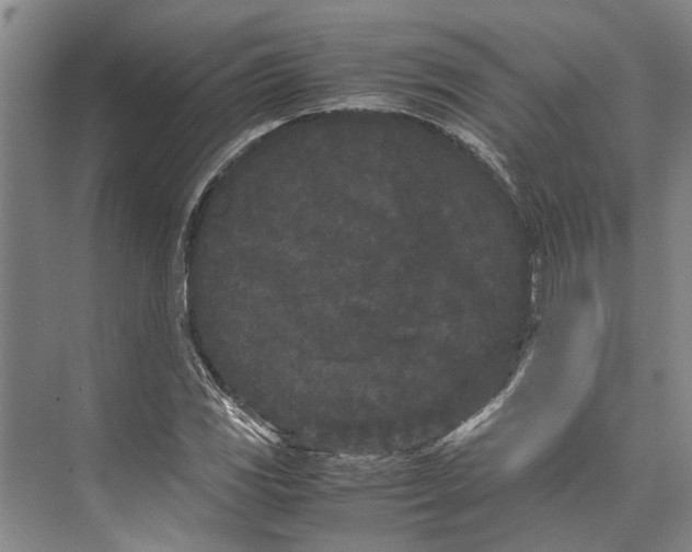X0000071921117200608041428
