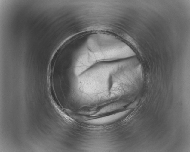 X0000071921124200608041428