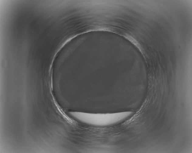X0000071921127200608041428