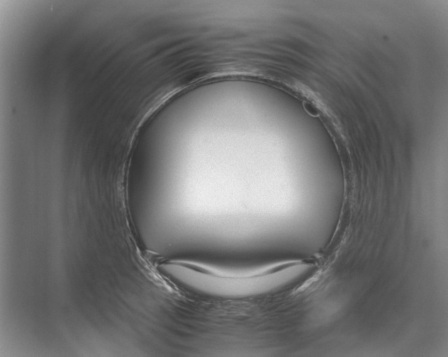 X0000071921137200608041428