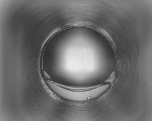 X0000071921138200608041428