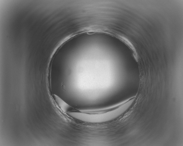 X0000071921146200608041428