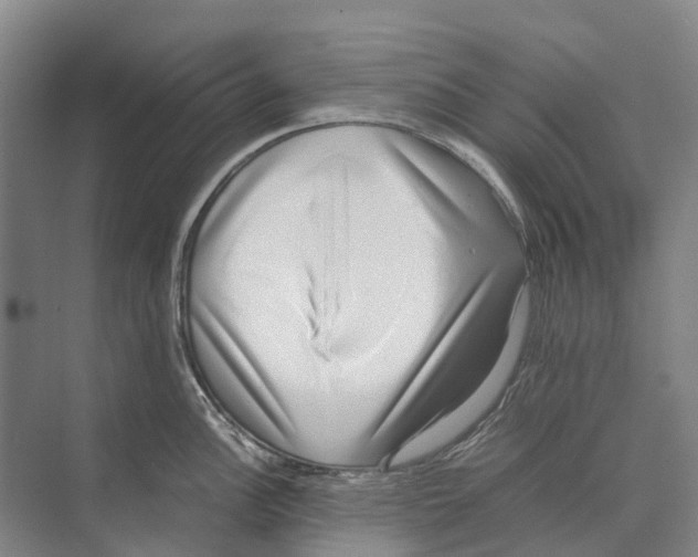 X0000071921148200608041428