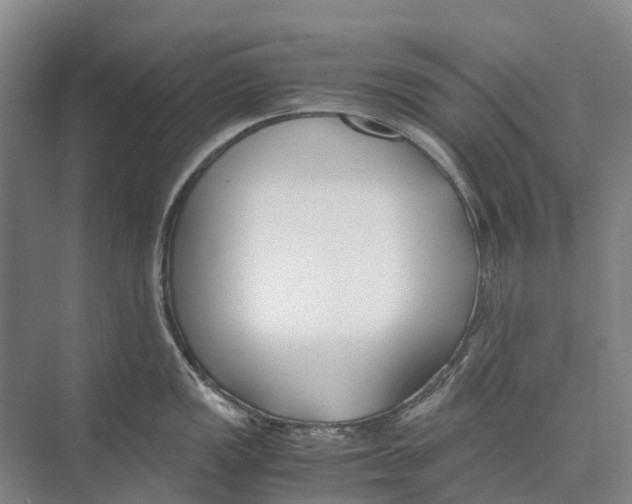 X0000071921149200608041428