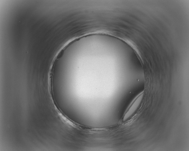 X0000071921151200608041428