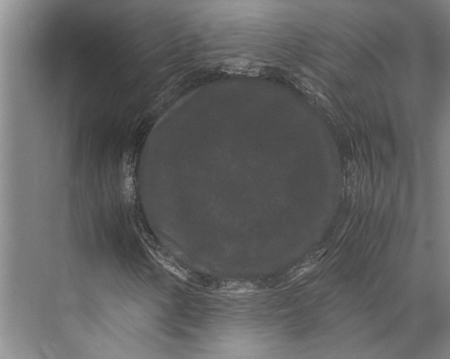 X0000071921154200608041427