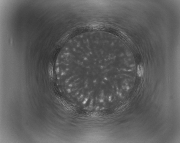 X0000071921155200608041427