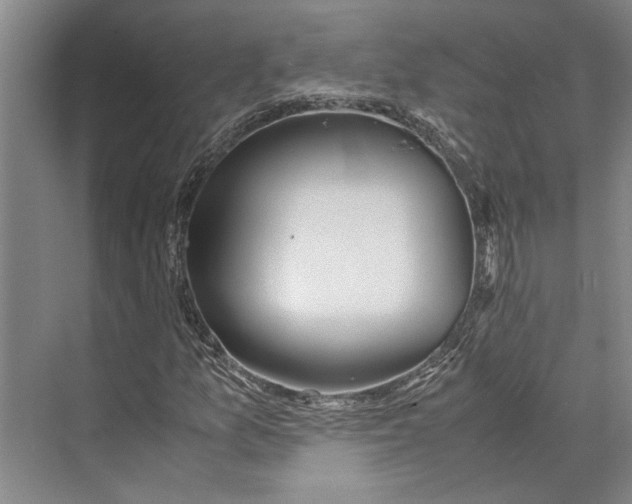 X0000071921157200608041427