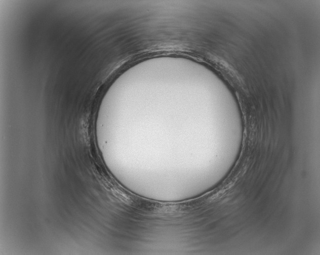 X0000071921162200608041427