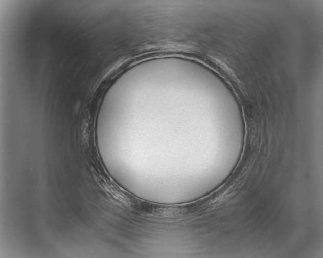 X0000071921163200608041427