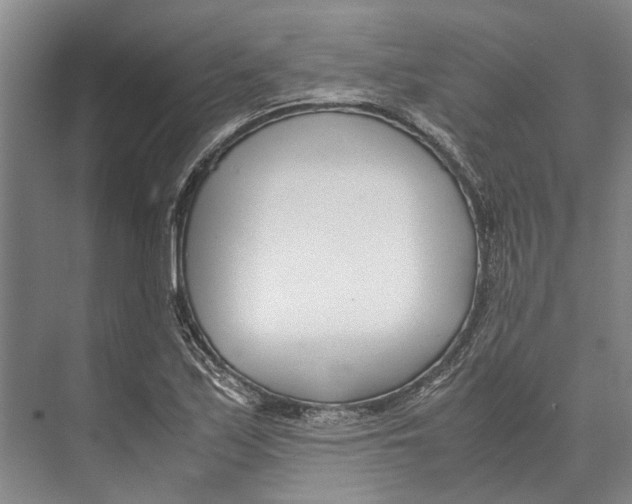 X0000071921171200608041427
