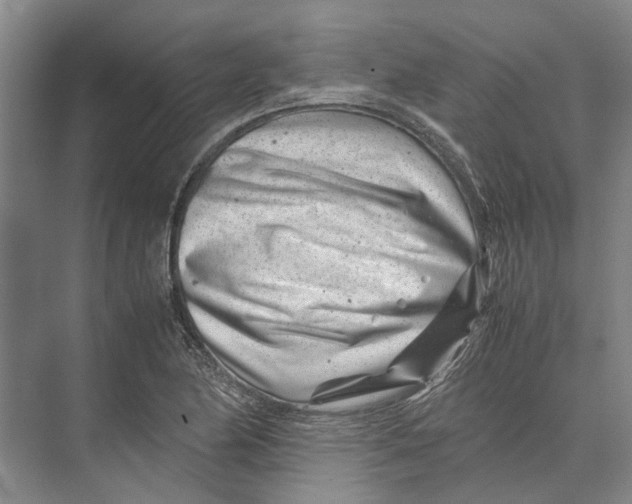 X0000071921174200608041427