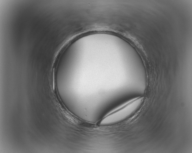 X0000071921175200608041427