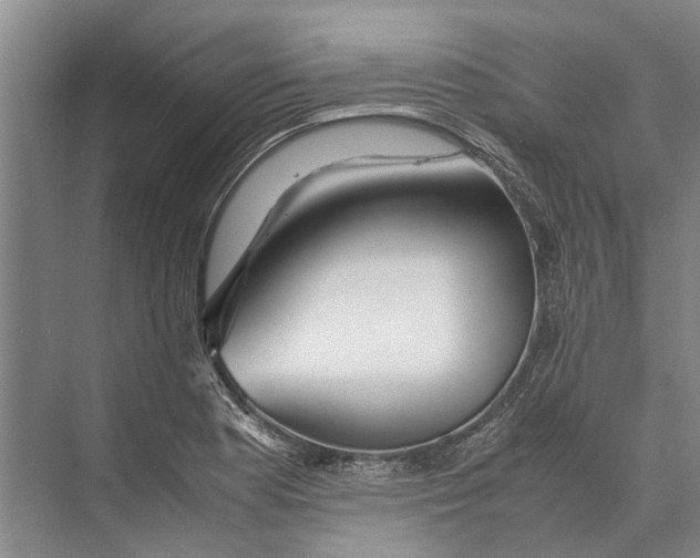 X0000071921177200608041427