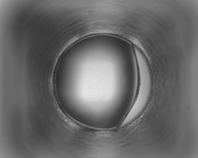 X0000071921181200608041427