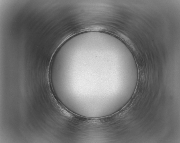 X0000071921186200608041427