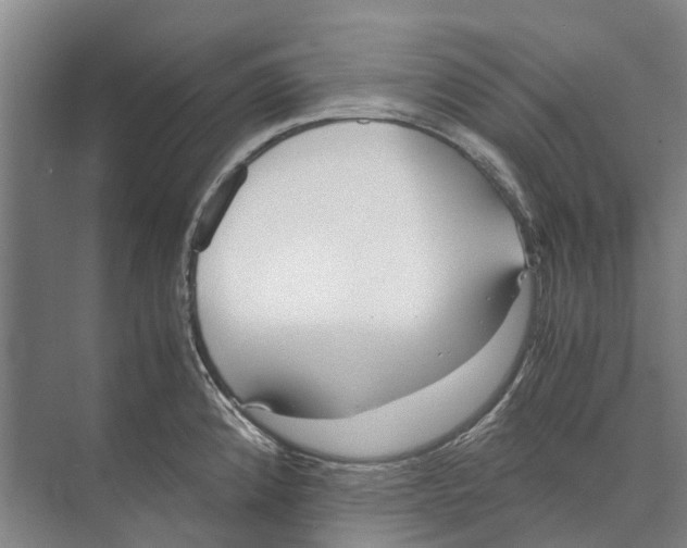 X0000071921192200608041427