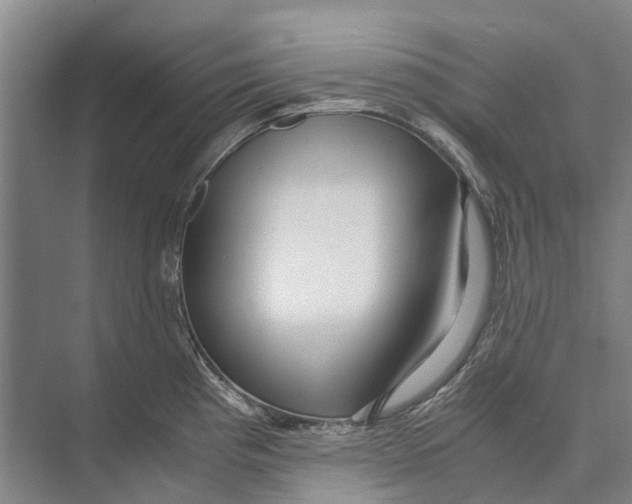 X0000071921193200608041427