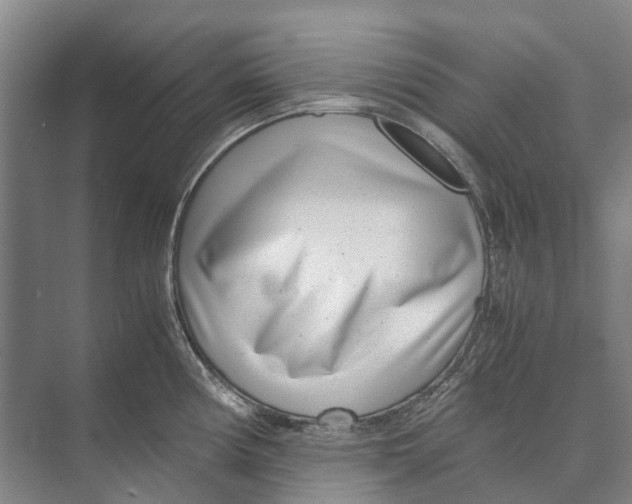 X0000071921194200608041427