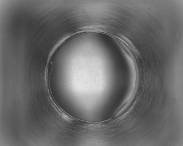 X0000071921196200608041427