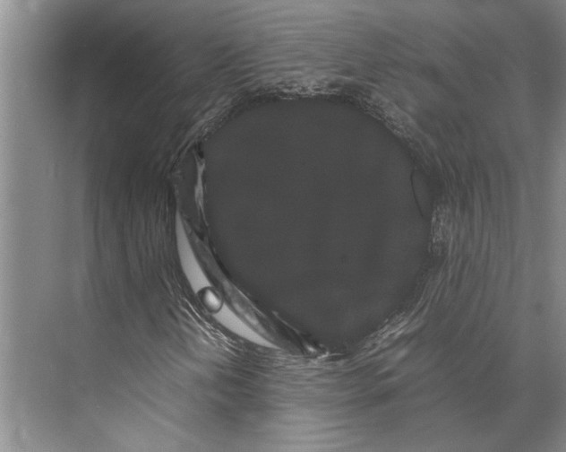 X0000071921202200608041426