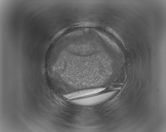 X0000071921213200608041426
