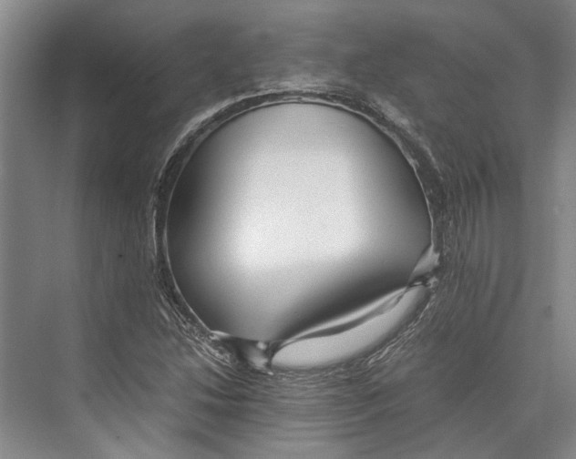 X0000071921214200608041426