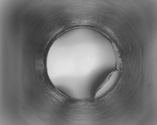 X0000071921218200608041426