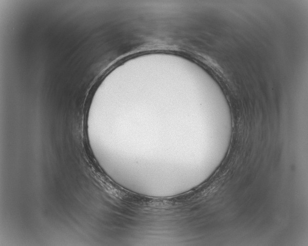 X0000071921220200608041426